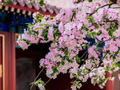 -恭王府博物馆