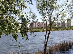 -永定河休闲森林公园