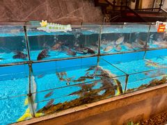 -饭怕鱼(阳光100店)