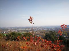 -北京西山国家森林公园