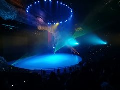 -重庆国际马戏城