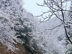 -安吉龙王山风景区