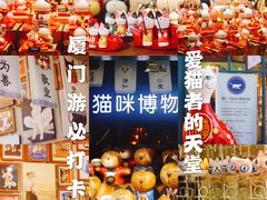 -猫咪博物馆(顶澳仔猫街店)