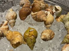 -咖啡厅自助餐厅(贵阳中天凯悦酒店)