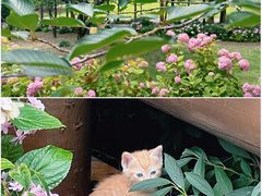 -上海滨江森林公园