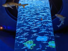 -香港海洋公园