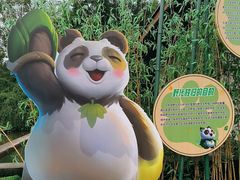-都江堰中华大熊猫苑