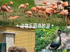 -哈尔滨北方森林动物园