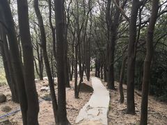 -火炉山森林公园