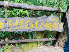 -西双版纳基诺山寨
