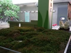 -中国湿地博物馆