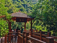 -广州白江湖森林公园