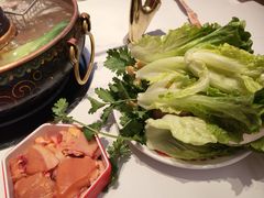 -董记老清泉·鲜切涮羊肉(窑岭店)