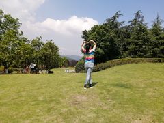 -铁山坪森林公园