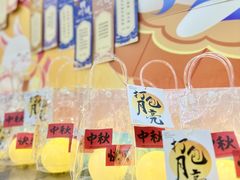 -百变天才机器人编程中心·信奥·VEX竞赛·无人机(金田广场店)