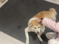 -YCHL Studios健身工作室(市二宫店)