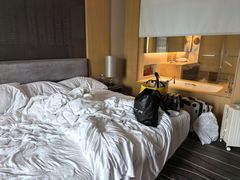 -青岛富力艾美酒店