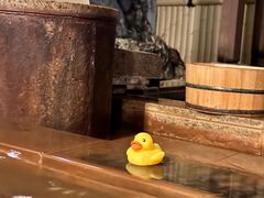 -有马温泉 竹取亭円山温泉旅馆