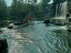 -北京野生动物园