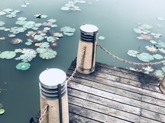 -新江湾城公园