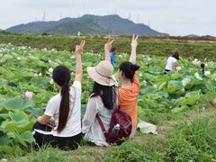 -光明小镇欢乐田园