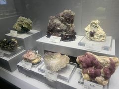 -湖南省地质博物馆