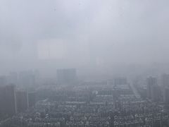 -悦厅·下午茶(杭州柏悦酒店)