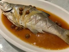 破布子午鱼-光头匠