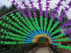 -梭布垭石林景区