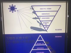 -同济大学四平路校区深海探索馆