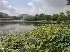 -映月湖公园