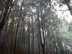 -含鄱口