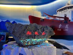 -海合安青岛极地海洋公园