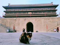 -西安城墙·碑林历史文化景区