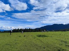 -玉湖村