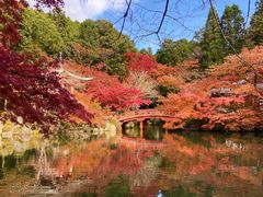 -醍醐寺
