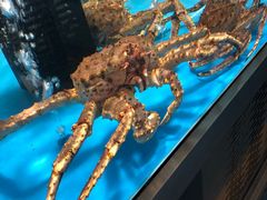 -麦德龙(郑东店)