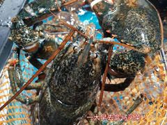 -盒马鲜生(曜一城店)