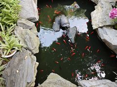 -谷咖啡·鲜花绿植花园餐厅