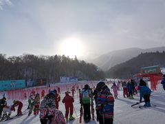 -亚布力新体委滑雪场