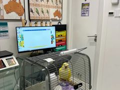 -立德异宠动物医院.兔鸟爬.内窥镜(天河店)
