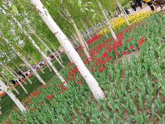 -长春公园(普阳街道)