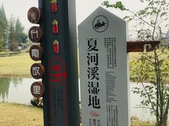 -夏河溪乡野公园