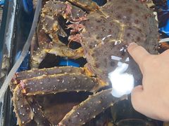 水产区-鸿港海鲜批发市场