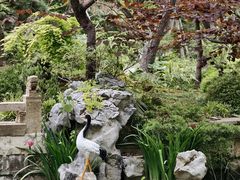 -上海醉白池公园