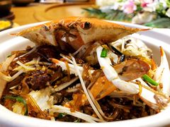 蟹肉粉条煲-新海渔港·胶东海鲜家常菜·家宴(奥体中心店)