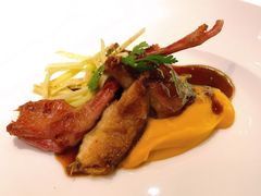 乳鸽-蝶舍·MAISON PAPILLON