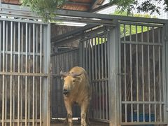 -无锡动物园·太湖欢乐园