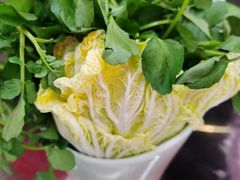 -蚝羊氣惠来羊肉火锅·高压锅生蚝