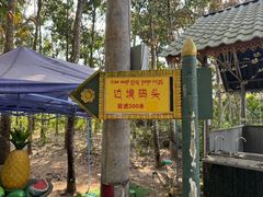 -西双版纳傣族园